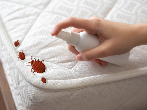 Best Best Pest Control Companies  in Pine Crest, TN