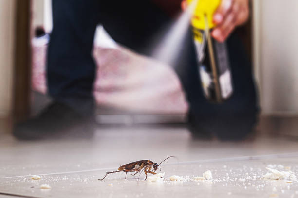 Best Pest Removal Services  in Pine Crest, TN