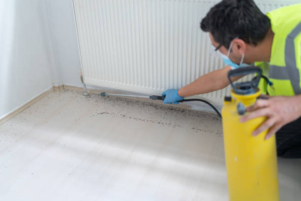 Best Ant Control Services  in Pine Crest, TN